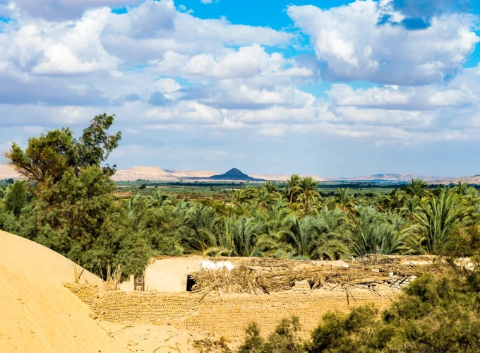 CAIRO, LUXOR, ASWAN, ABU SIMBEL, ALEXANDRIA and BAHARIA OASIS (12 DAYS – 11 NIGHTS): ADVENTURE