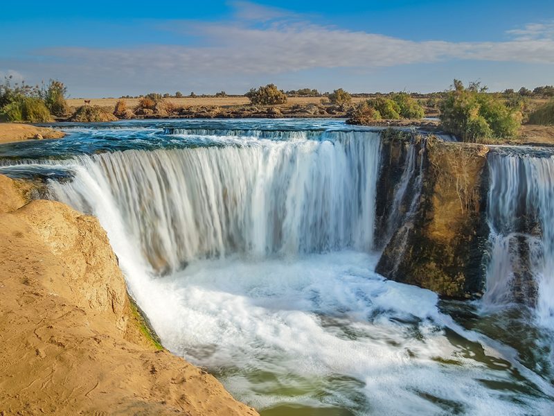 ONE DAY SAFARI IN FAYOUM OASIS