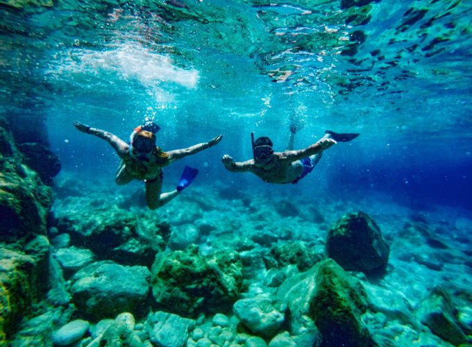 SNORKELLING TRIP BY BOAT IN TIRAN ISLAND OR RAS MOHAMED