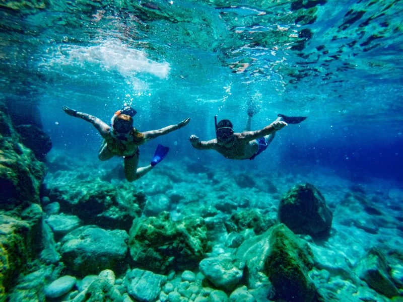 SNORKELLING TRIP BY BOAT IN TIRAN ISLAND OR RAS MOHAMED